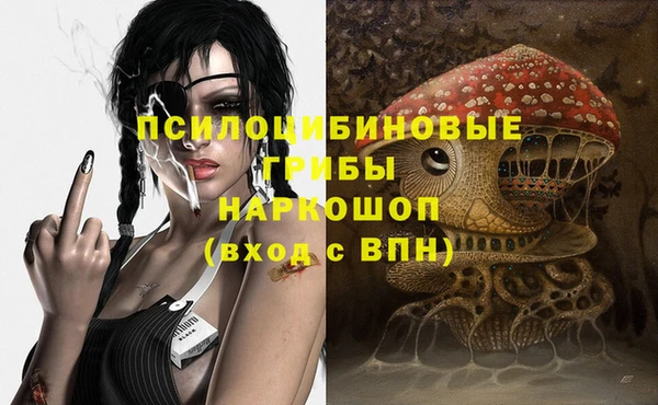 тгк Арсеньев