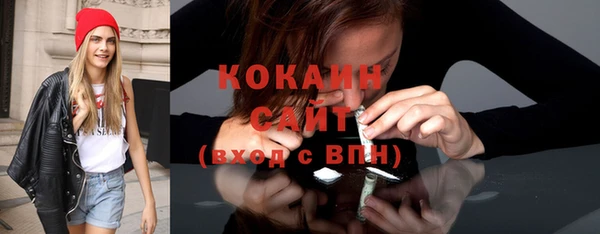 тгк Арсеньев