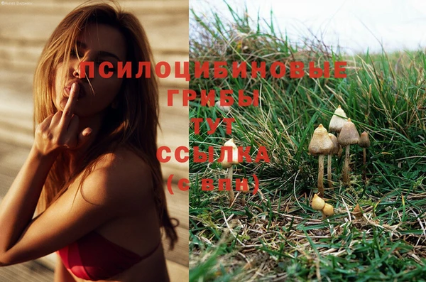 кокаин колумбия Аркадак