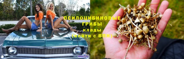 прущий лед Армянск
